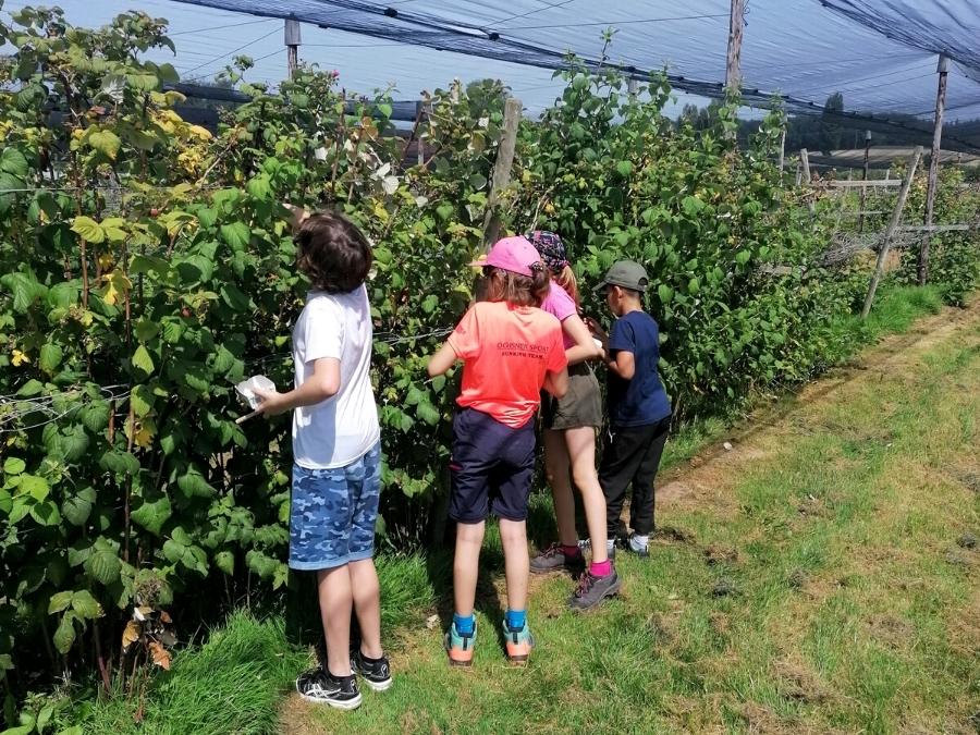 Climbing and nature week